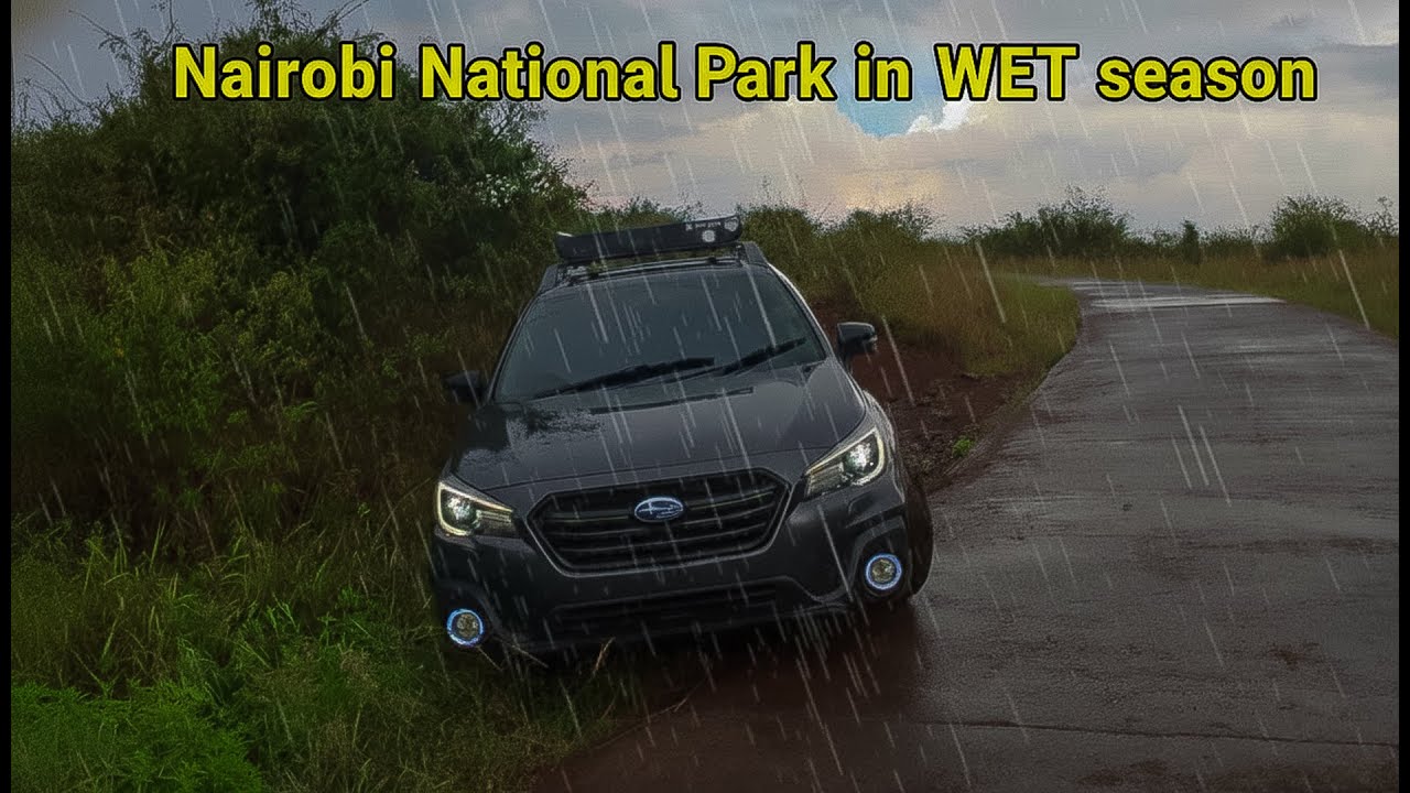 Nairobi National Park in wet season