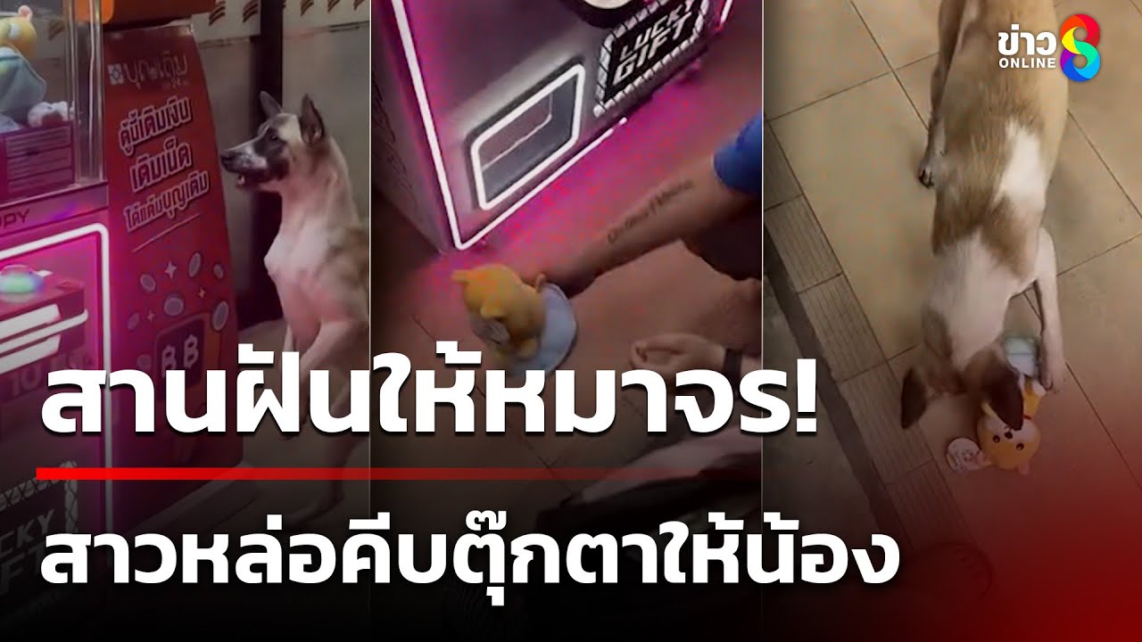 สาวหล่อสานฝัน คีบตุ๊กตาให้หมาจร | 17 ส.ค. 68 | คุยข่าวเช้าช่อง8
