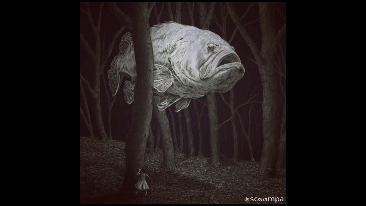 The Deepest Living Fish Ever Recorded! ~ Ocean Hero - Oceanography - Ocean Awareness