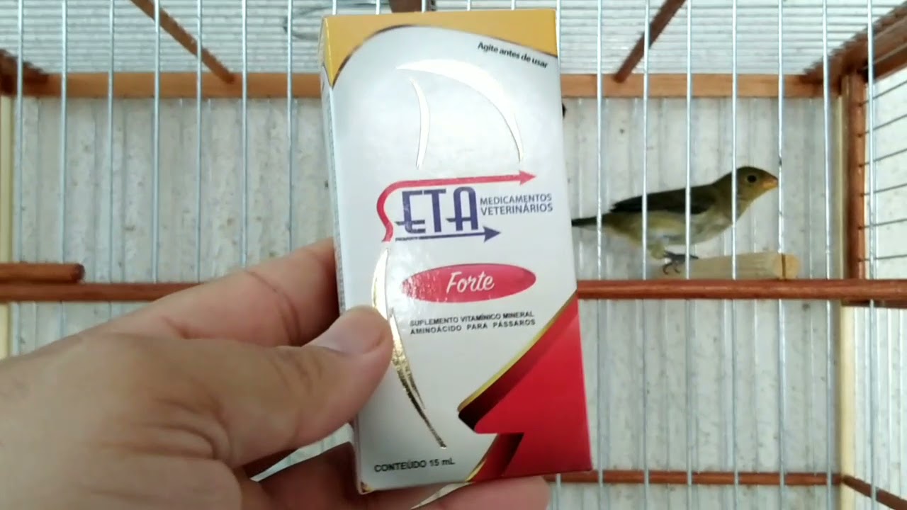 Como utilizar vitaminas o ano todo sem prejudicar teu pássaro?!.