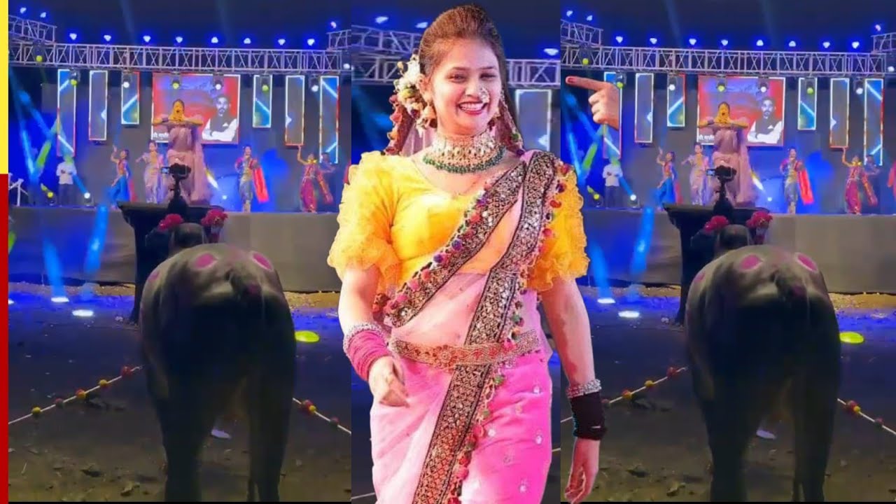 चक्क बावऱ्या बैलासमोर गौतमी पाटील लचकत, मुरडत नाचली; व्हिडीओ तुफान व्हायरल #gautamipatil #gautami