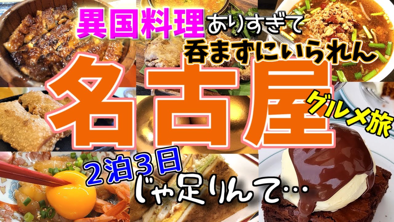 【名古屋グルメ旅】名古屋飯と異国飯で呑んだくれるやーつ。