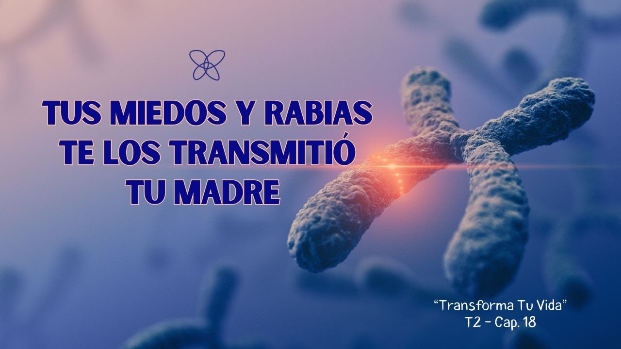 ‼️Tus MIEDOS y RABIAS te los transmitió TU MADRE‼️ - Pamela Jara Gómez - #heridasdeinfancia