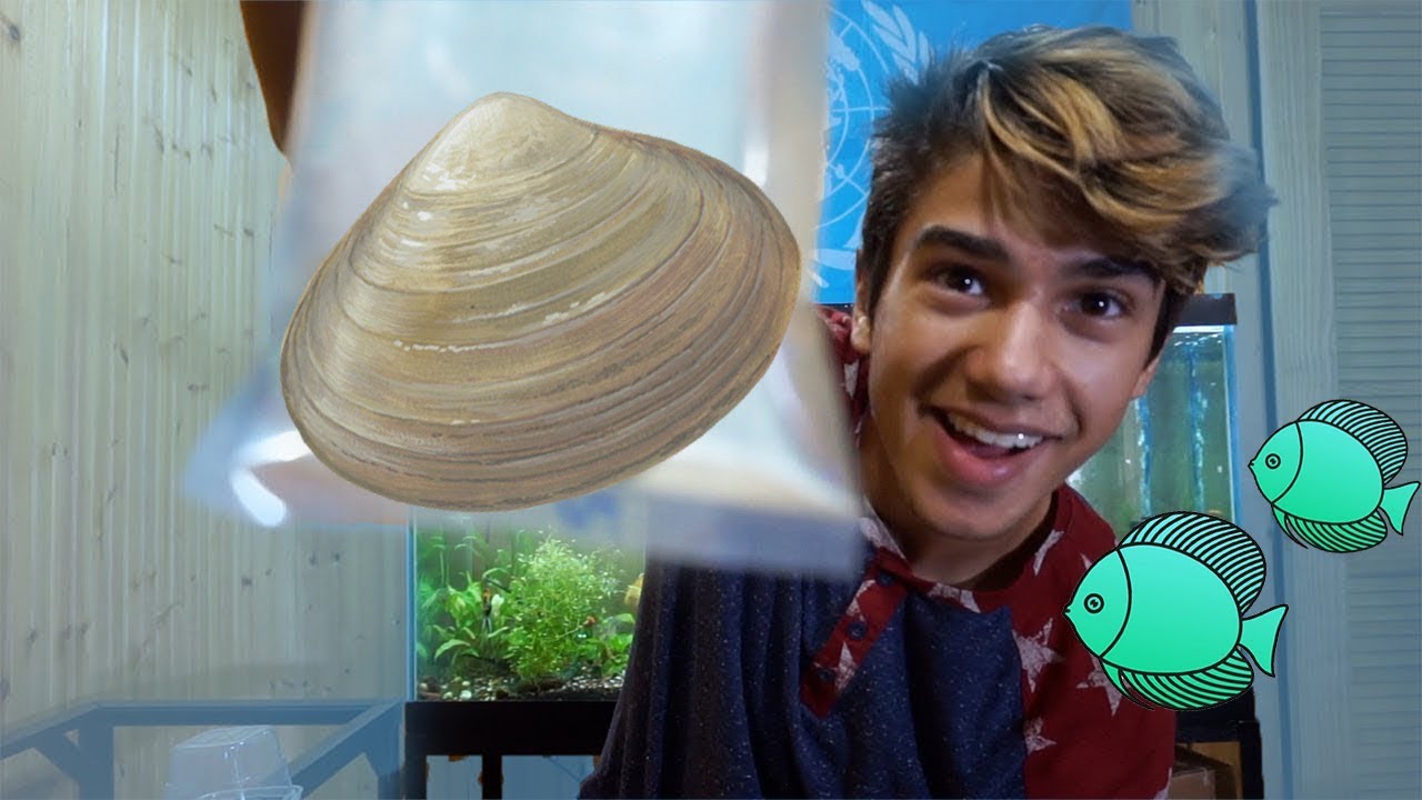 Unboxing 5 FreshWater CLAM'S for My Aquarium!!