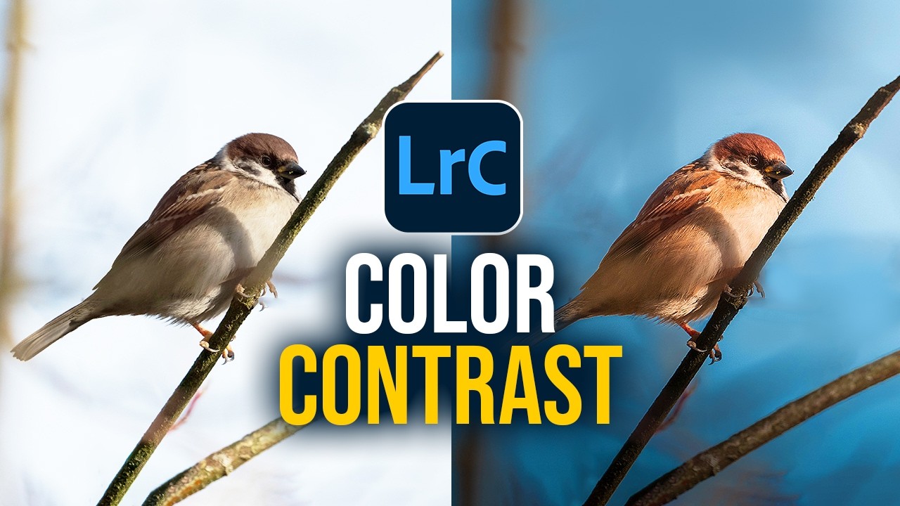 Making the Subject POP with COLOR CONTRAST (Lightroom Editing)