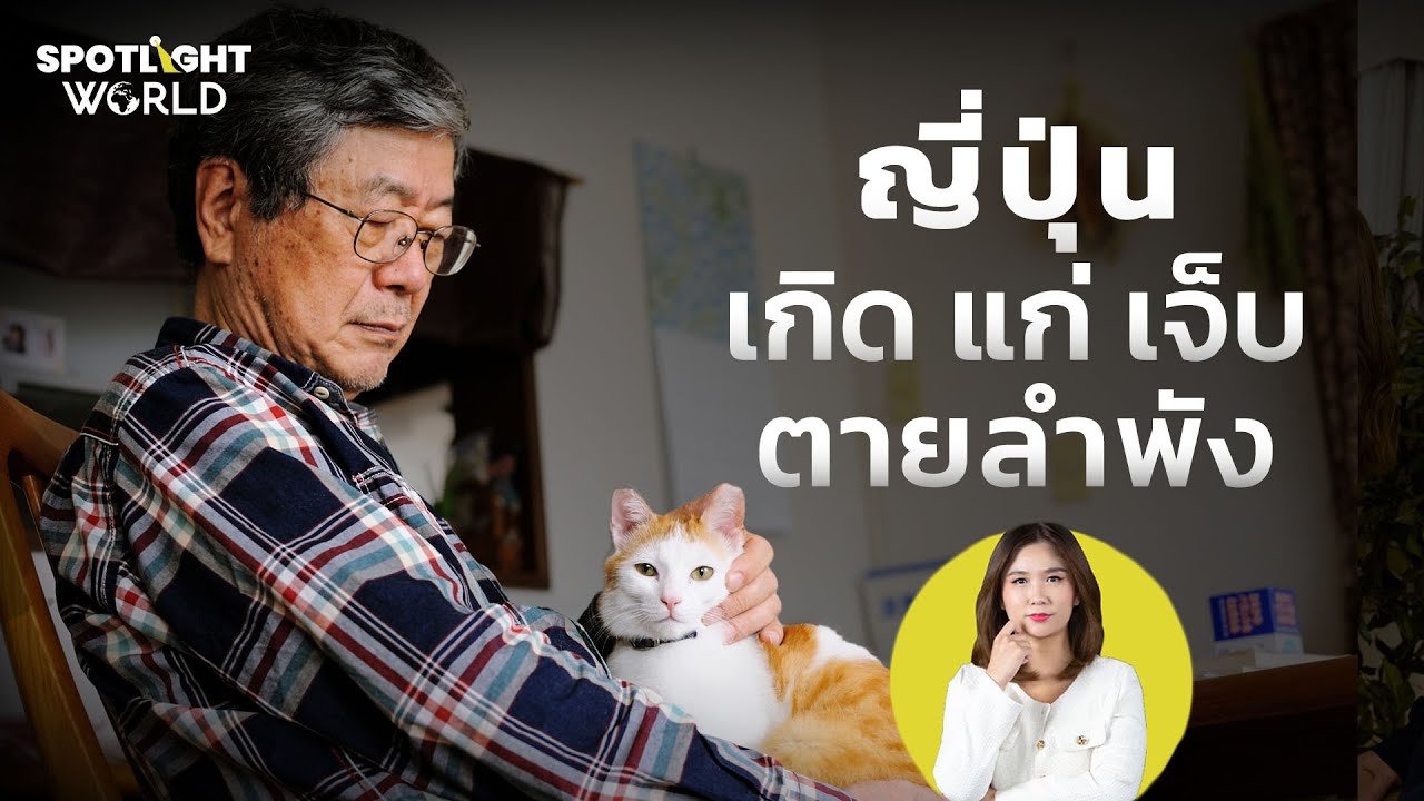 ญี่ปุ่น 