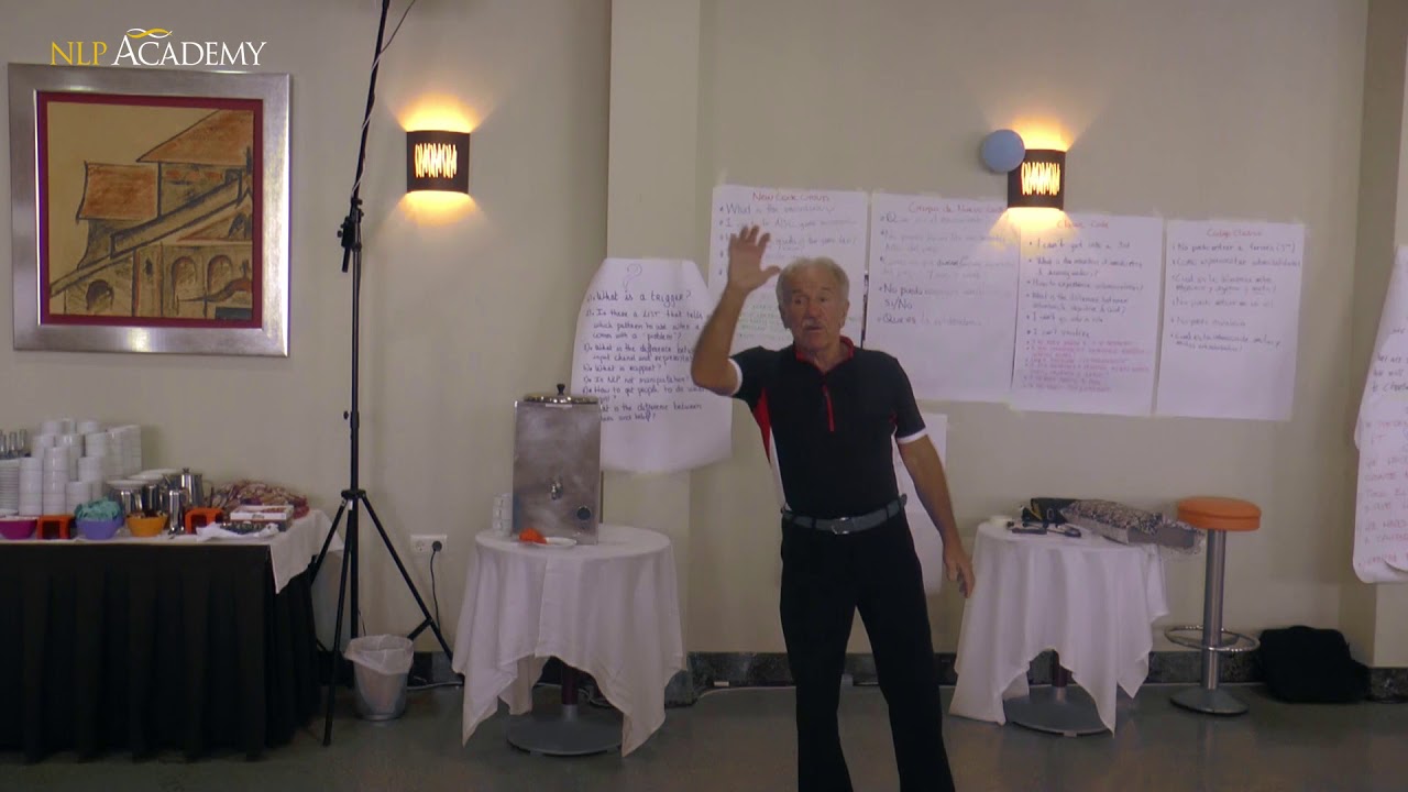 Insights into Perceptual Positions from John Grinder
