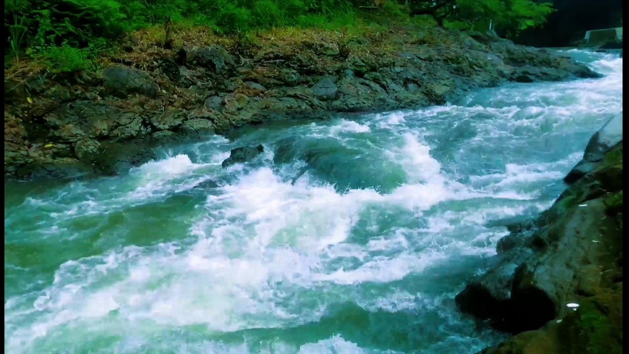 Tranquil River Ambience – Soft Stream and Forest Sounds for Deep Sleep and Inner Peace