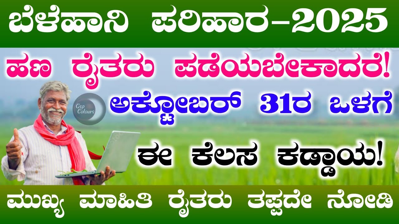 Farmers should do this to get Crop Damage Compensation-2025 money | Money will be deposited in your account | Parihara payment