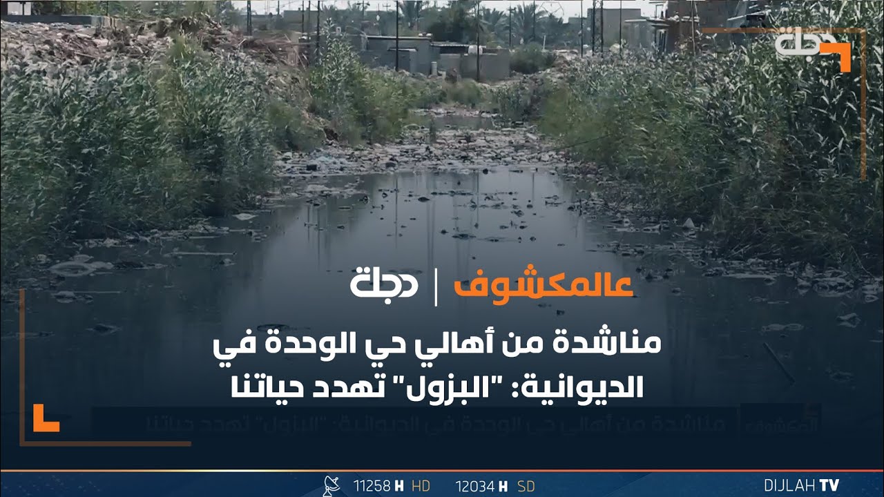 مناشدة من أهالي حي الوحدة في الديوانية: 