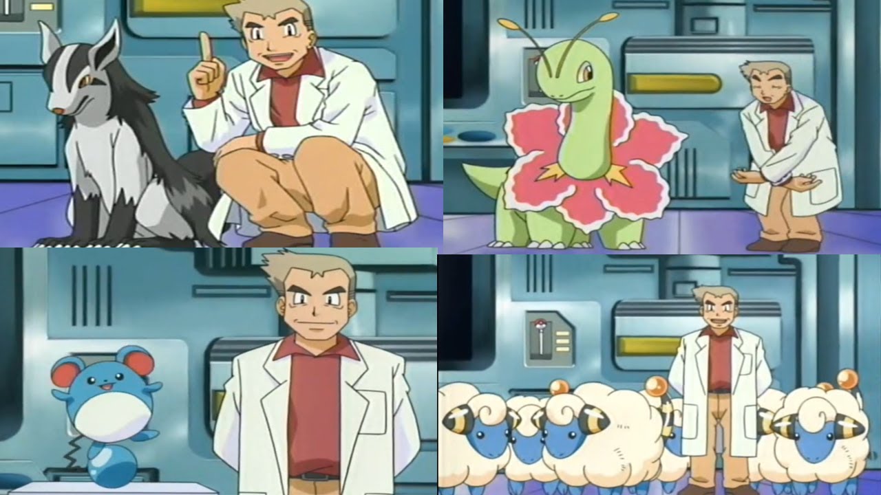 Mareep  -  Marill - Meganium  - Mightyena attacks Professor Oak   Professor Oak Funny Moments