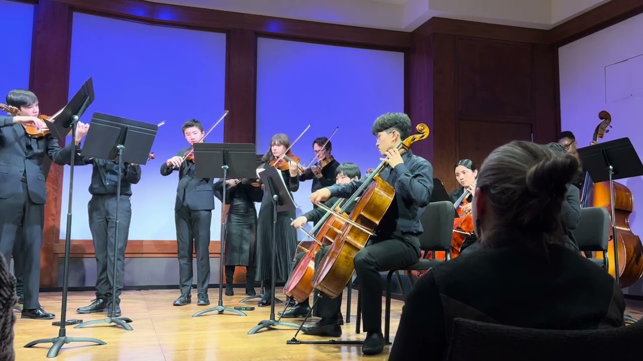 Tchaikovsky-- Serenade for Strings in C major, op. 48 (I. Pezzo in forma de Sonatina)