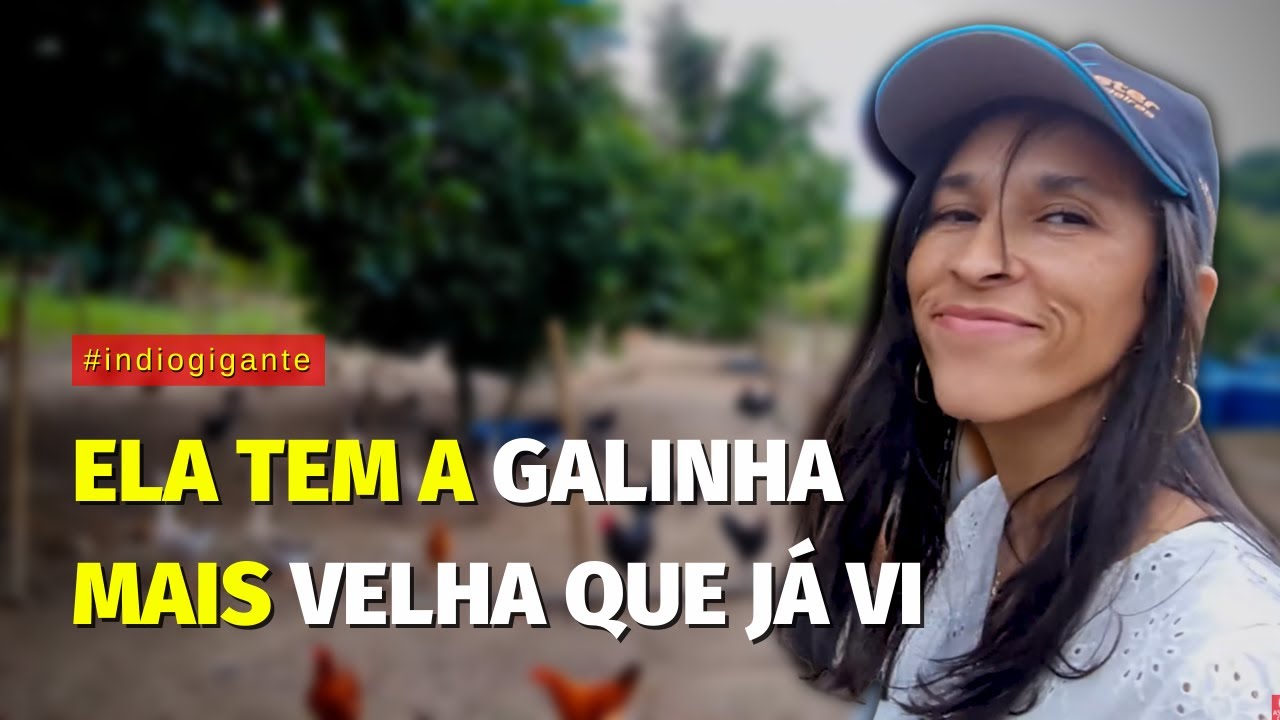 🐓 Criação de galinha de RAÇA PURA e Índio Gigante. Conheci a GALINHA mais VELHA do BRASIL