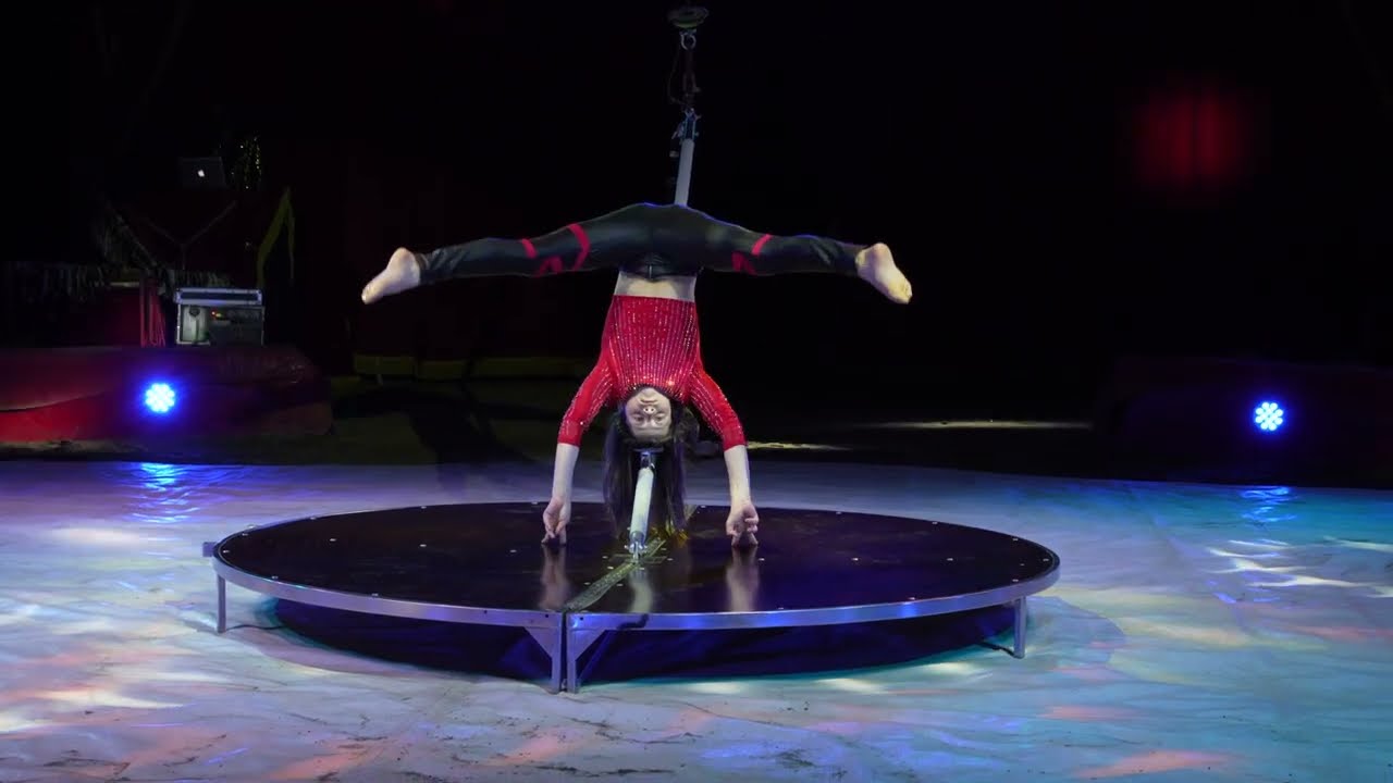 Nathan Gravagna - Artista Circense - Esibizione al Palo Aereo Acrobatico