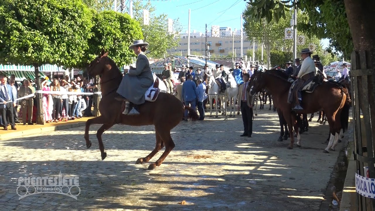 Concurso de Caballistas. Feria de Sevilla 2016.