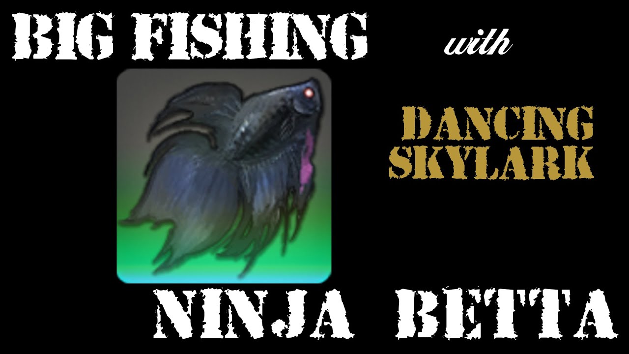 Big Fishing Episode 04: Ninja Betta