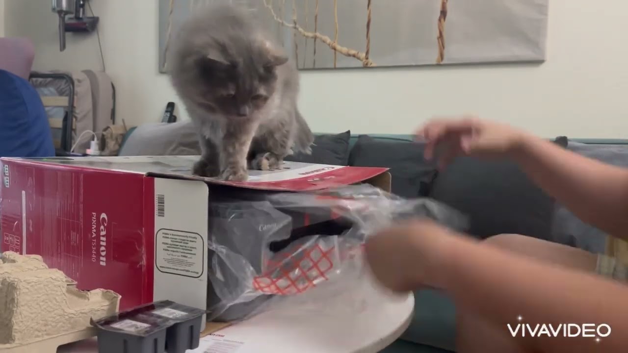 Canon Pixma TS3440 Printer Unboxing