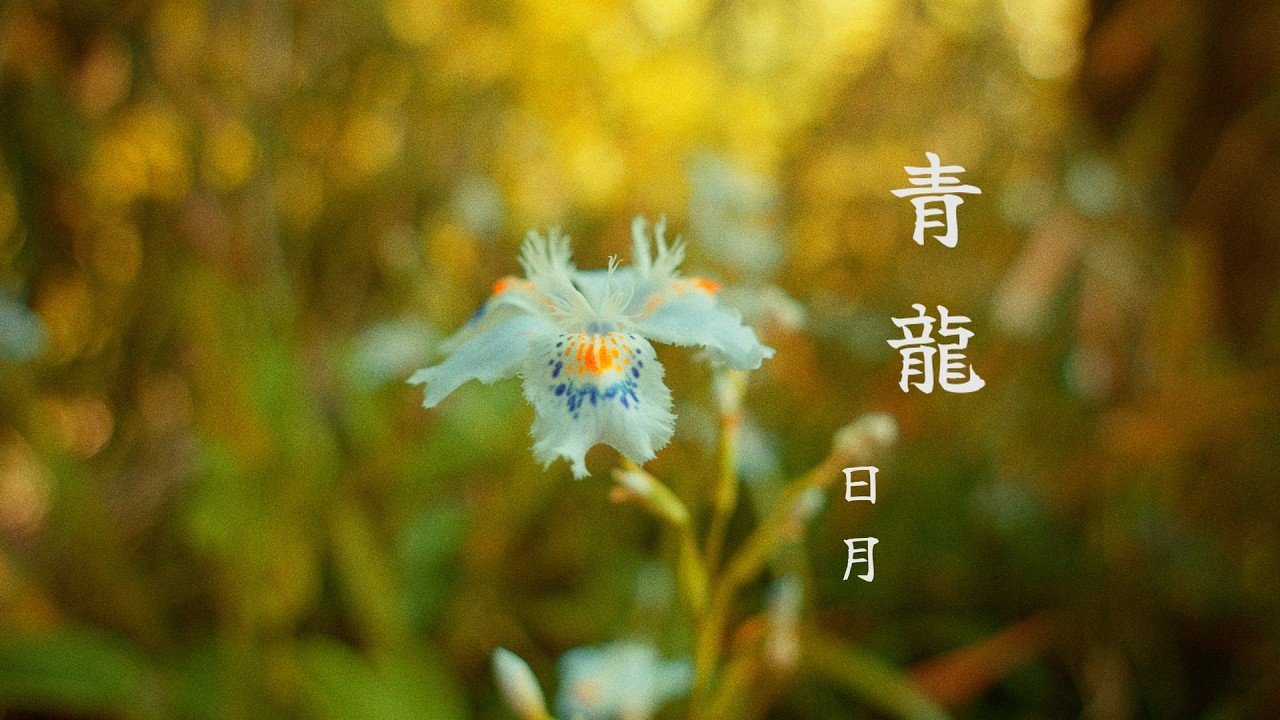 青龍 / 日月