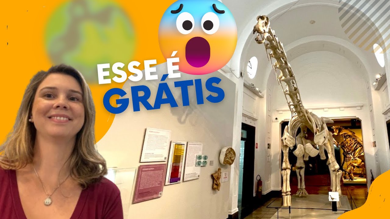 MUSEU DE ZOOLOGIA: passeio GRATUITO em São Paulo