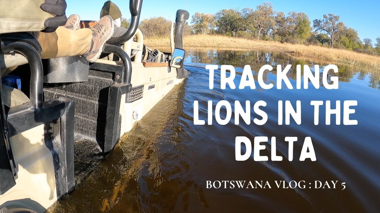 BOTSWANA Safari Day 5: Tracking Lions | River Crossing | First Delta Boat Cruise