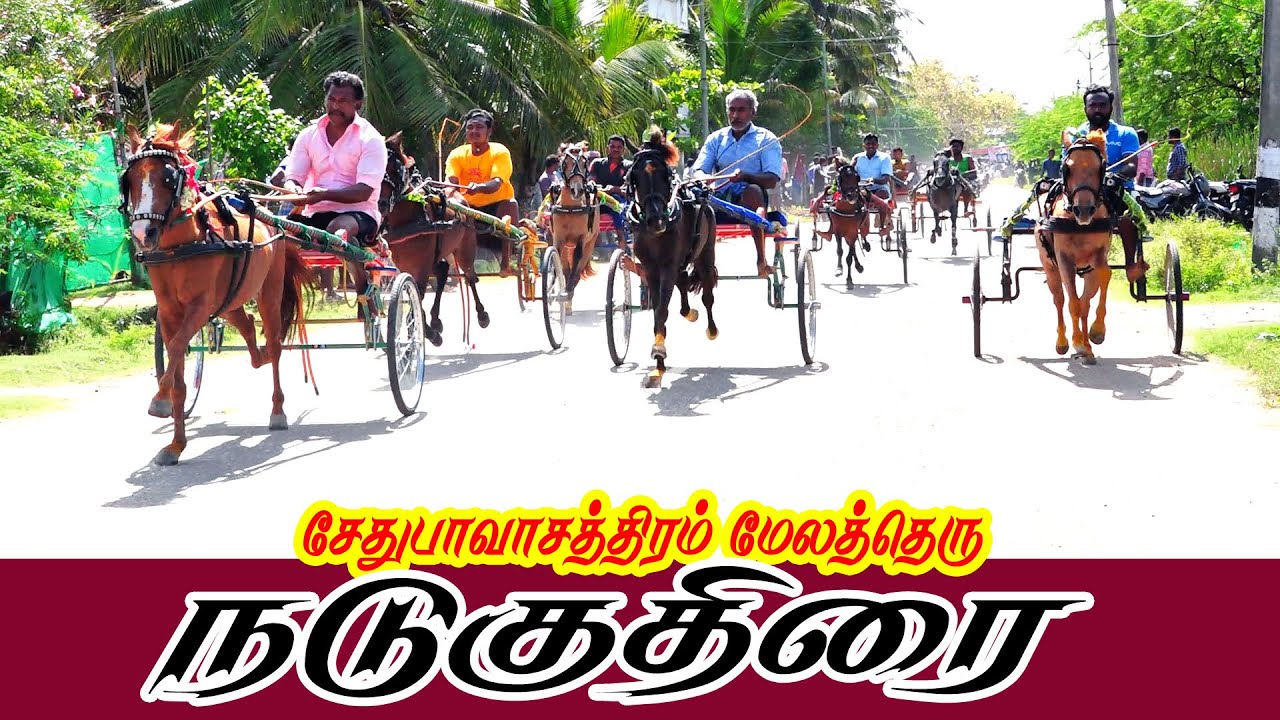 நடுகுதிரை சேதுபாவசத்திரம் | Nadukuthirai Sathiram | Reklarace2022 | Periai_Raj_Digital