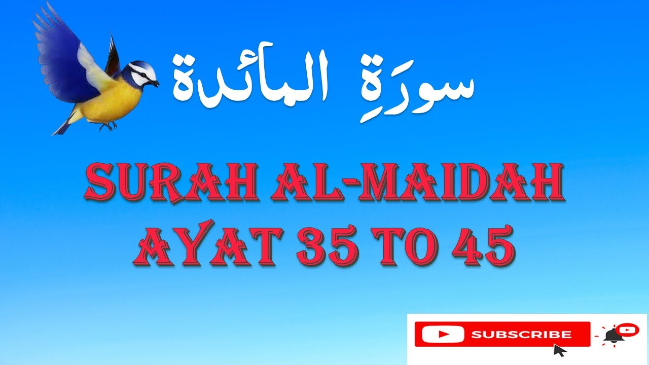 |SURAH Al-MAIDAH AYAT 35 TO 45| surah maidah| by Syed Saleem|