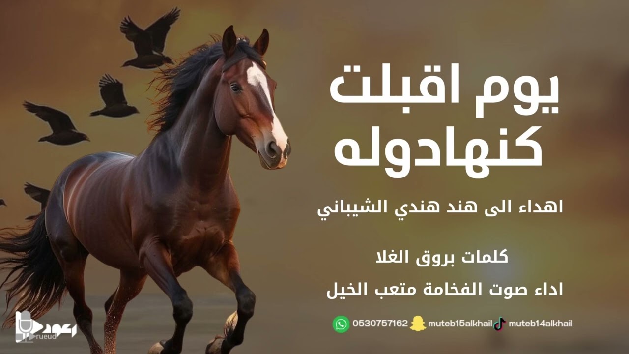 شيلة يوم اقبلت كنها دوله آداء صوت الفخامه متعب الخيل جديد2024حصرياً