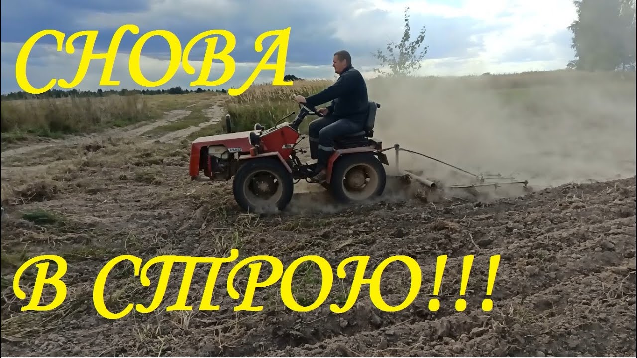 Сделал борону. Посеял сидераты.