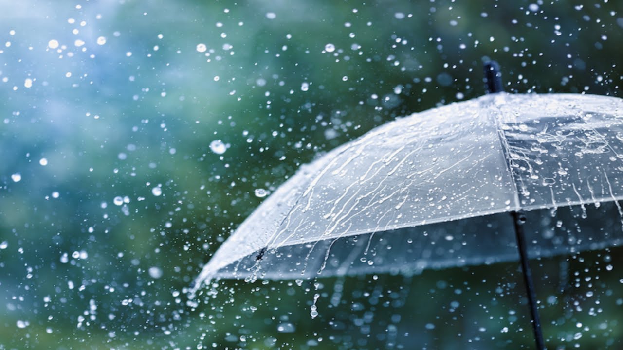 Rain Drops on Umbrella ASMR Meditation Sound to Sleep, Relax, Study, Work