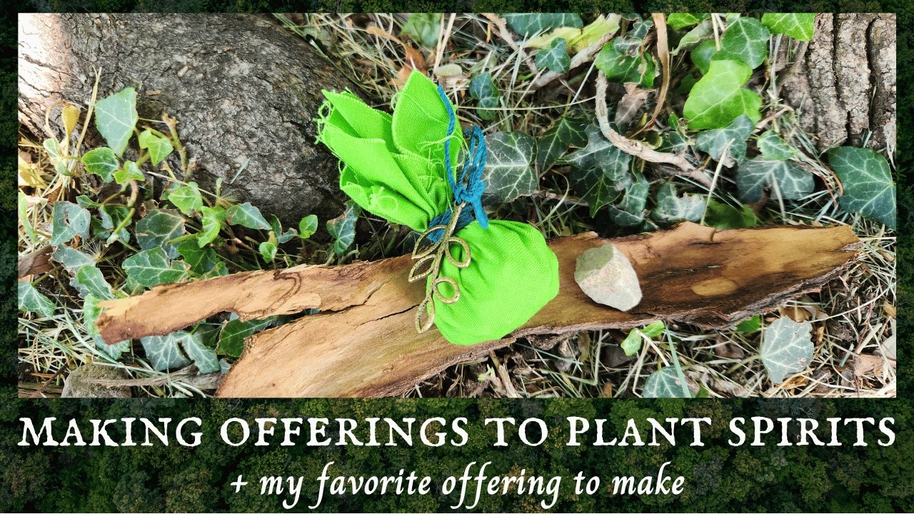 Making Offerings to Plant Spirits | Why, How, and My Fave Thing to Offer