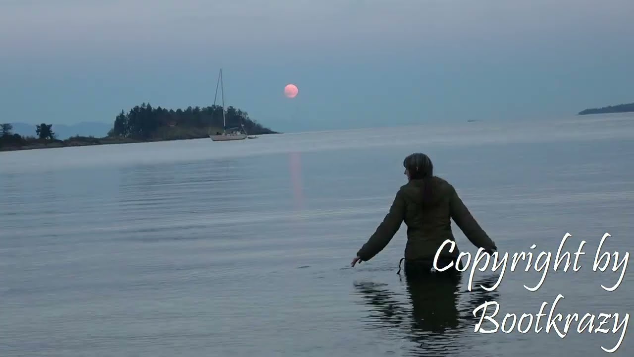 Bootkrazy: Waders at Twilight