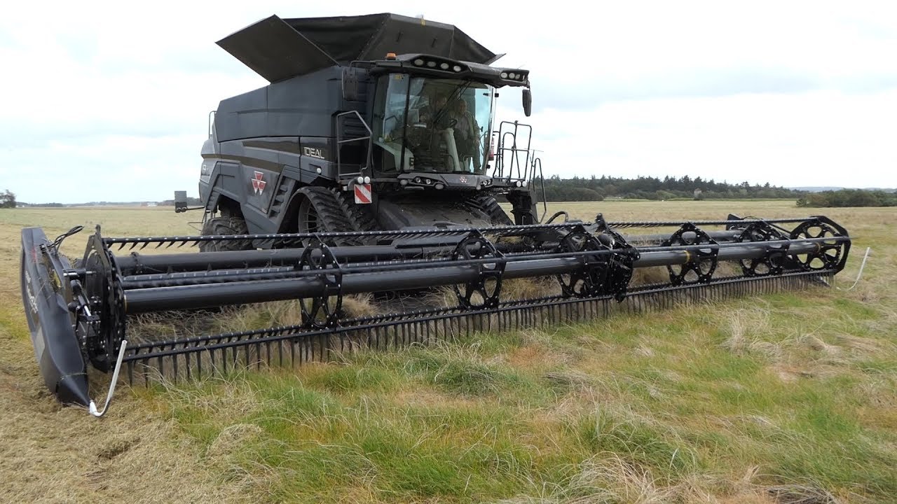 Massey Ferguson Ideal 9T Mowing the lawn | Harvesting Grass Seeds for soccer fields | DK Agri