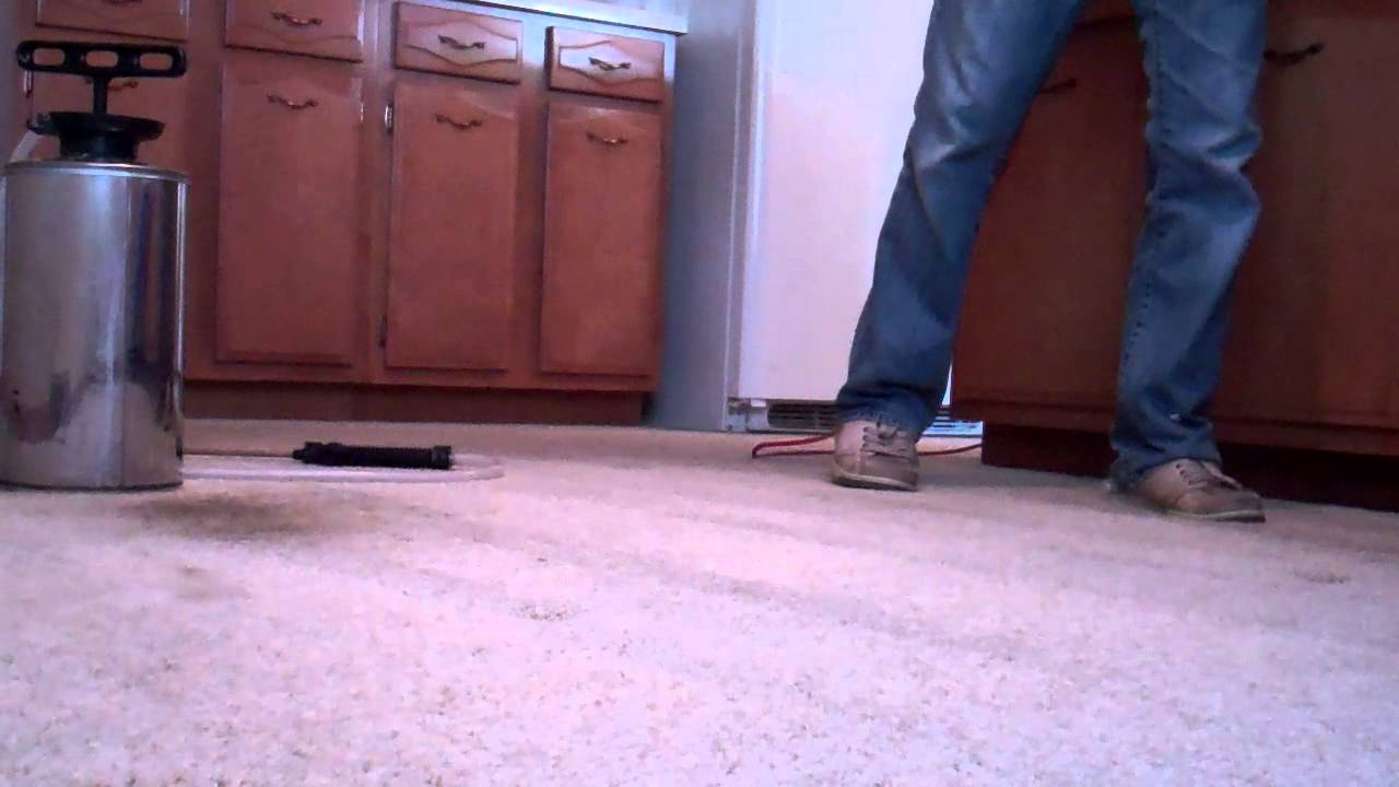 VID00605