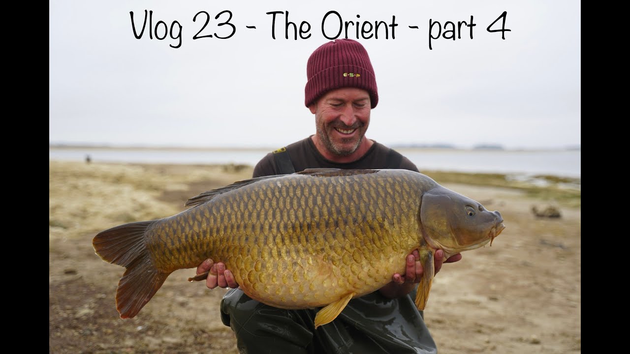 Vlog 23 - Carp fishing on the Orient - part 4