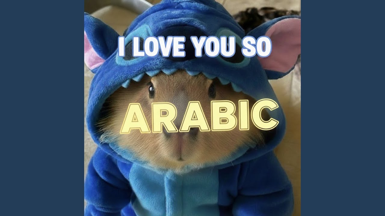i love you so (arabic)