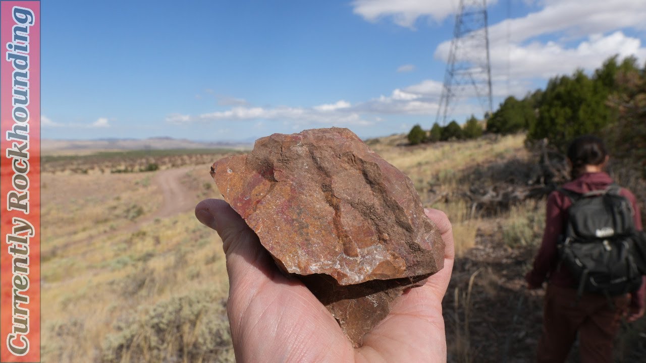 The Holt Jasper Hunt Continues