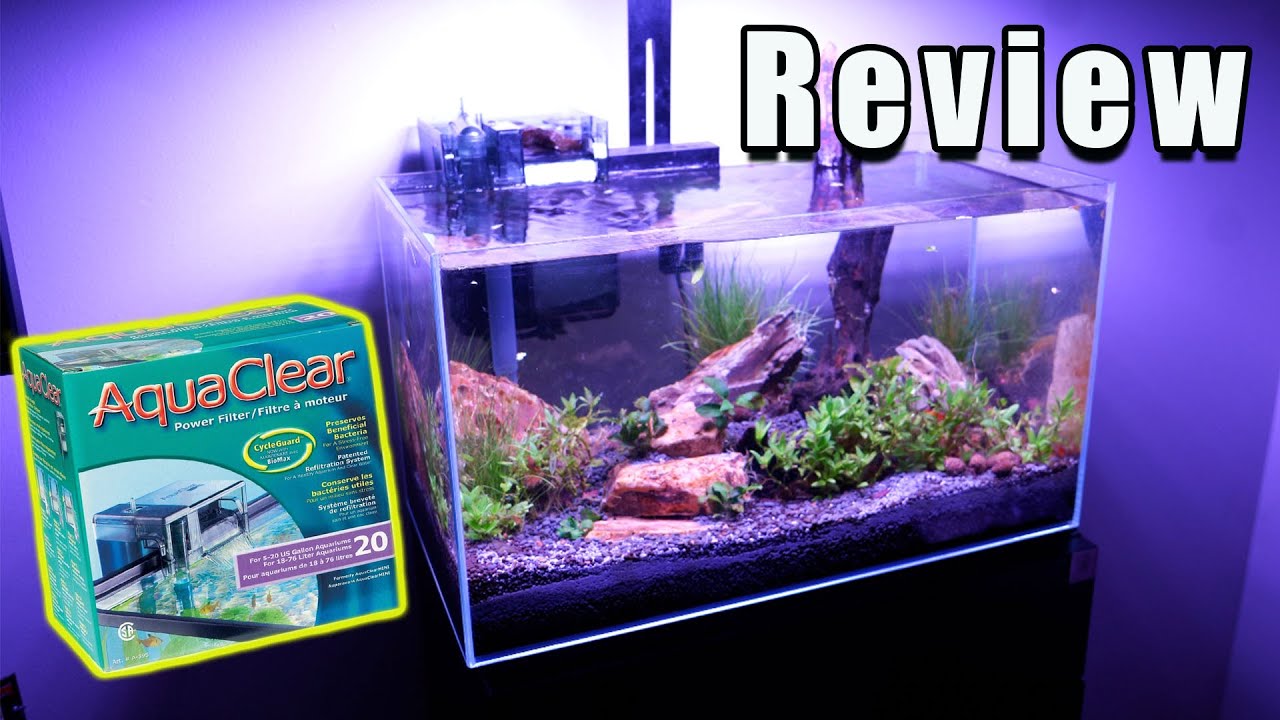 Aquaclear 20 Hang on Back Filter : Did it Fix The Issue?