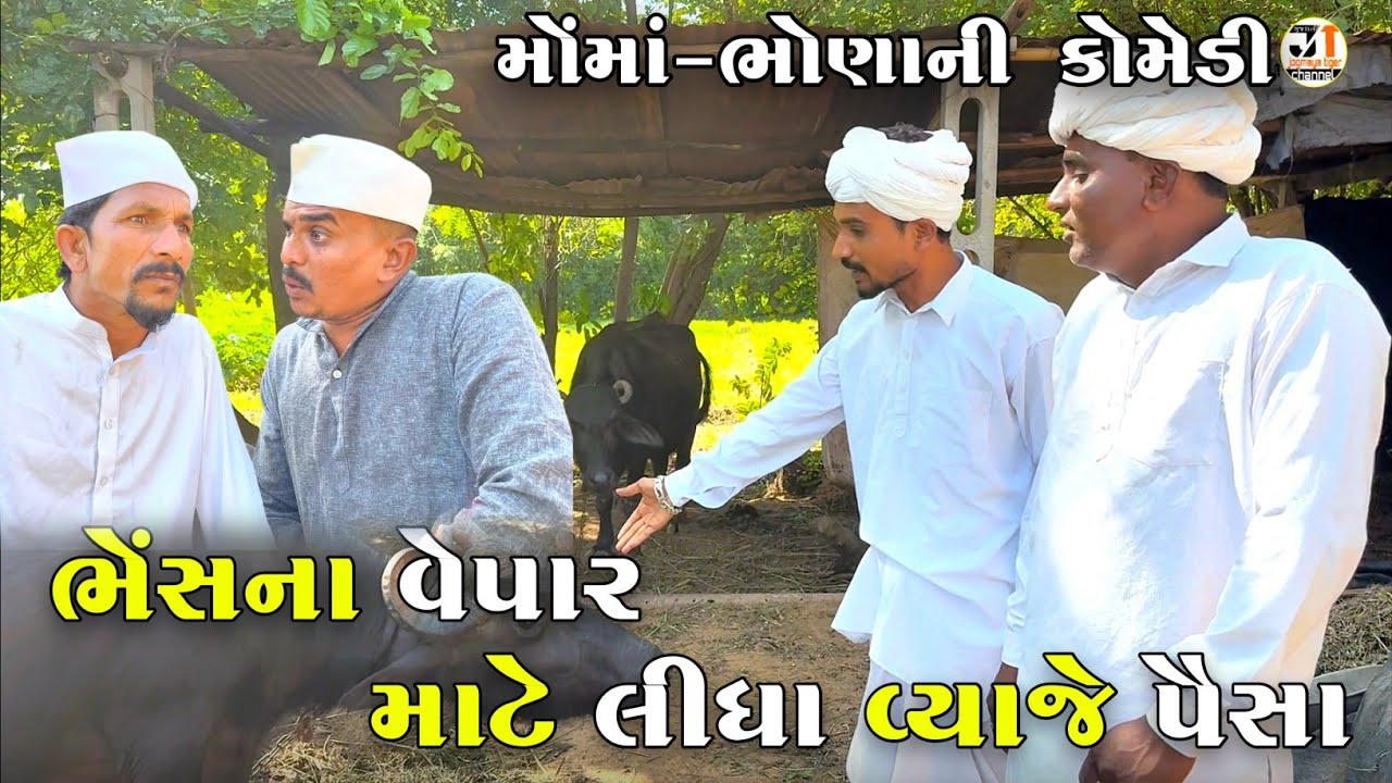 ભેંસના વેપાર માટે લીધા વ્યાજે પૈસા | BHESH NA VEPAR MATE LIDHA VYAJE PAISA | JOGMAYA TIGER COMEDY 