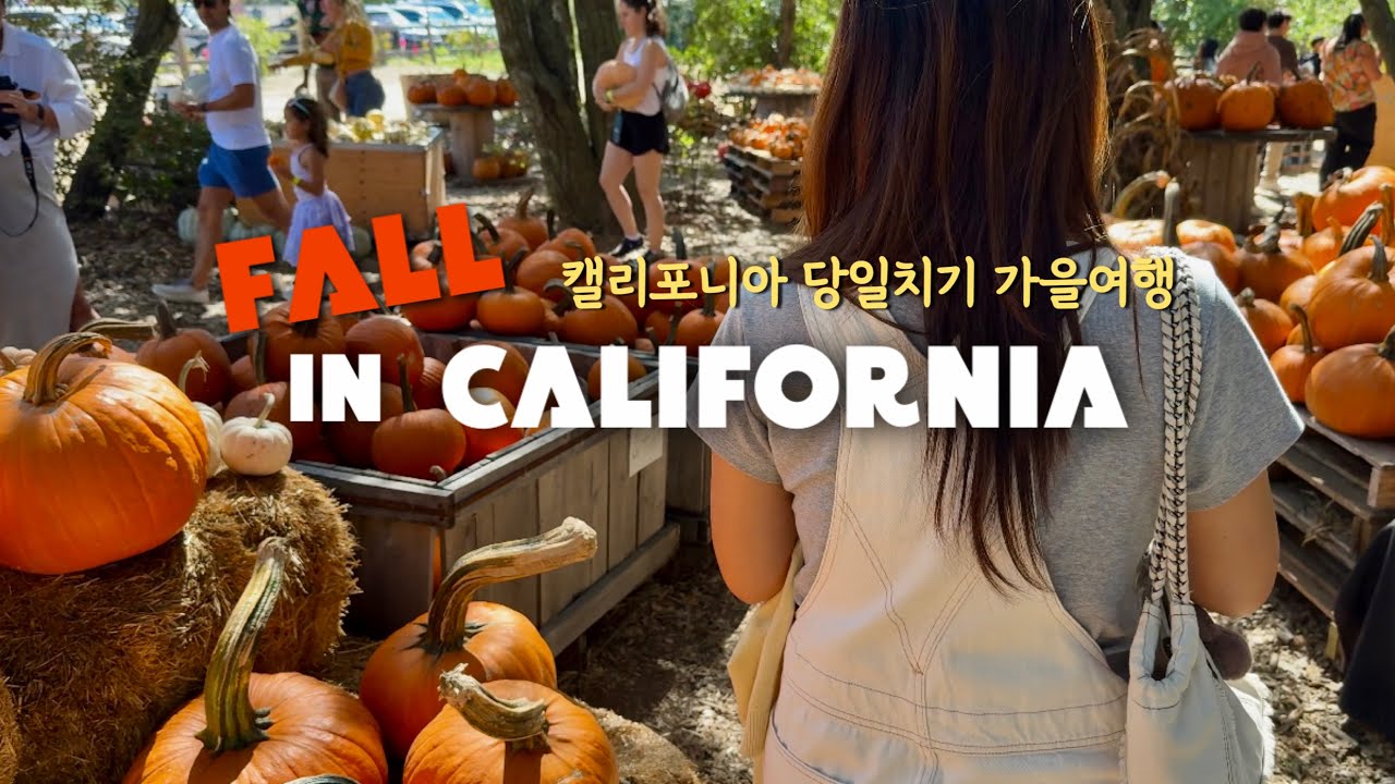 캘리포니아 가을 여행지🍁, 줄리안 당일치기, 펌킨패치🎃 농장방문, 애플파이 맛집🥧