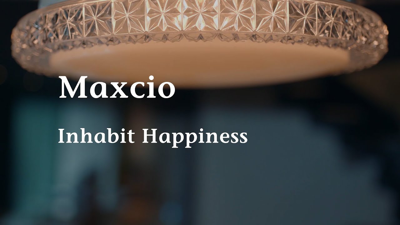 Maxcio | Alexa & Google Home | Smart Ceiling Light