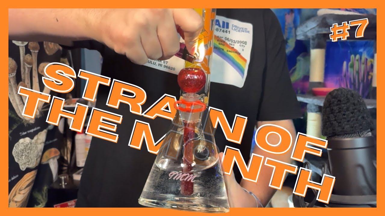 STRAIN OF THE MONTH #7 | HAVING A BLAST, GETTING BLASTED