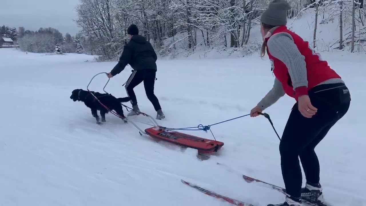 Innføring i pulk