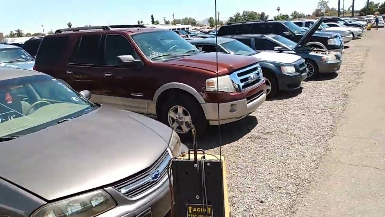 Auto Auction Phoenix   Vehicle Inspection day
