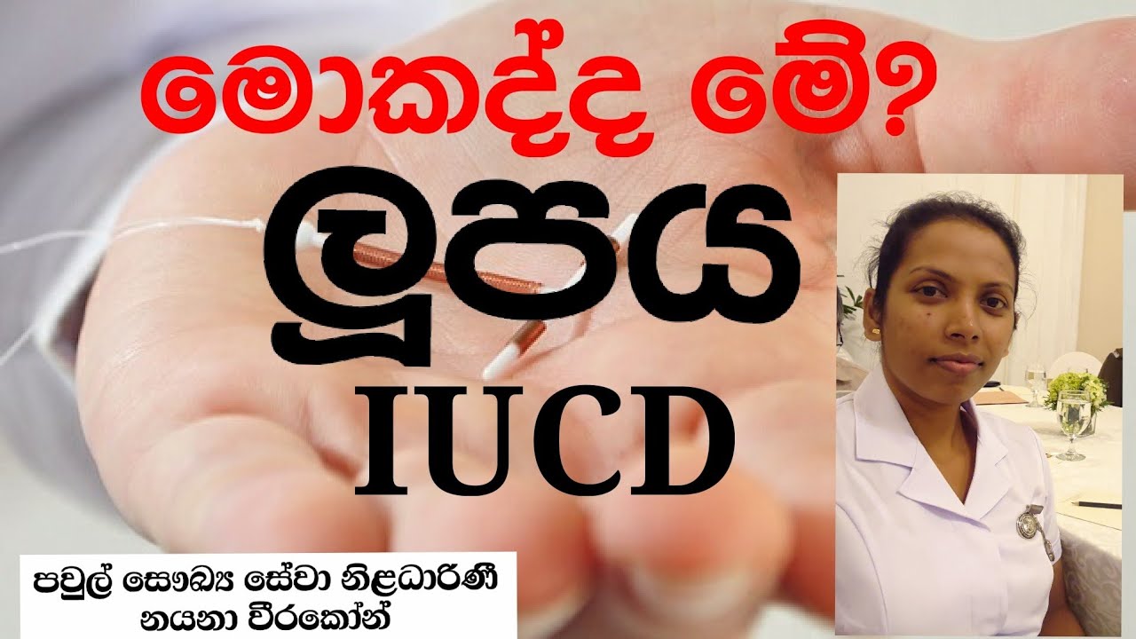 ලූපය....ලූප් එක... අන්තර් ගර්භාෂිත තැන්පතුව...IUCD..