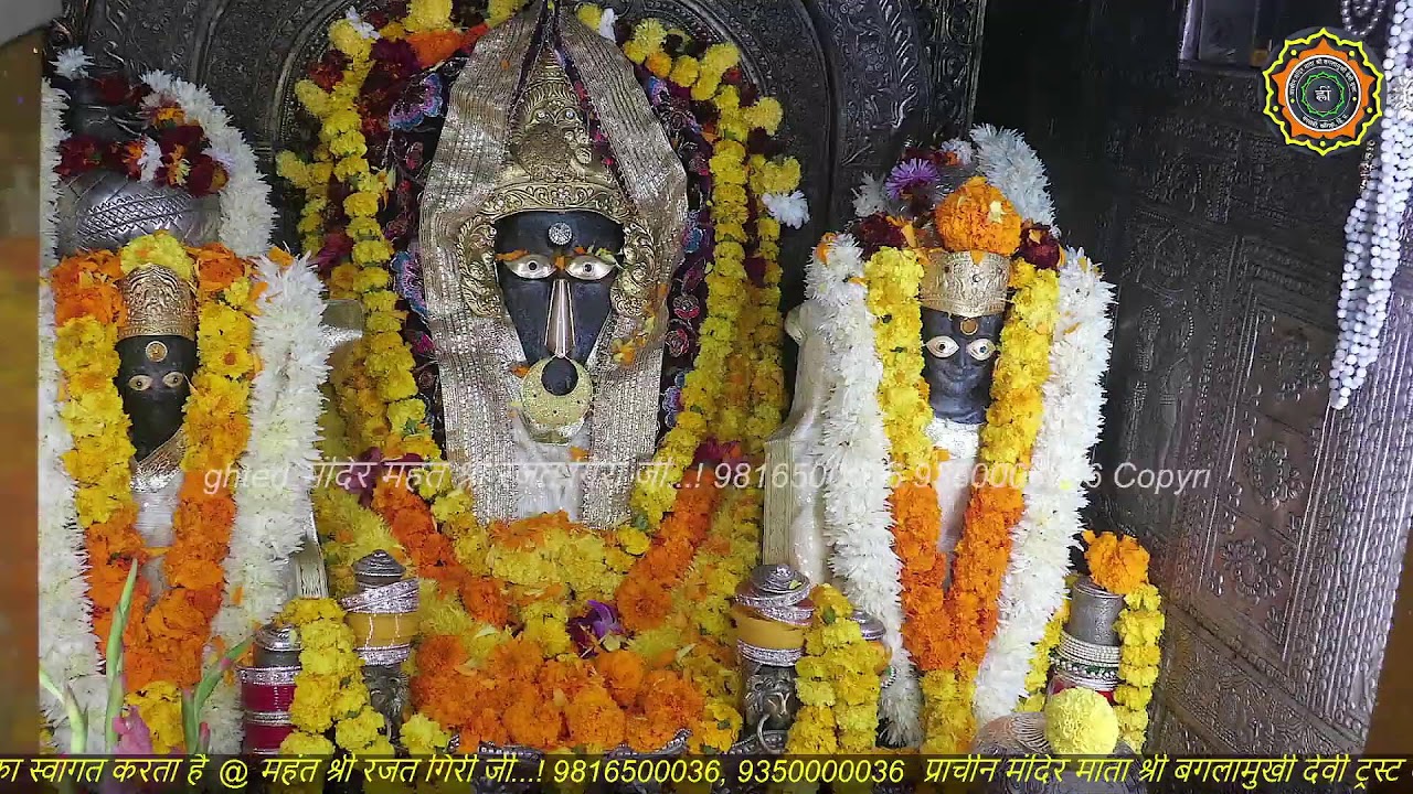 Maa Baglamukhi Official_Live Darshan_mahant shree Rajat giri ji_