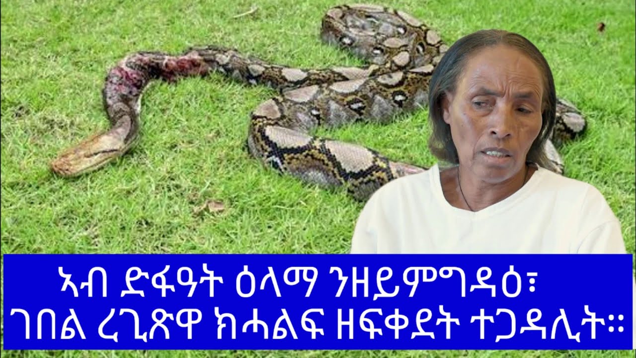 ኣብ ድፋዓት ግሎብ-ሪጎለ፣ዕላማ ንዘይምግዳዕ፣ገበል ረጊጽዋ ክሓልፍ ዘፍቀደት ተጋዳሊት። # New Eritrean Video 2025