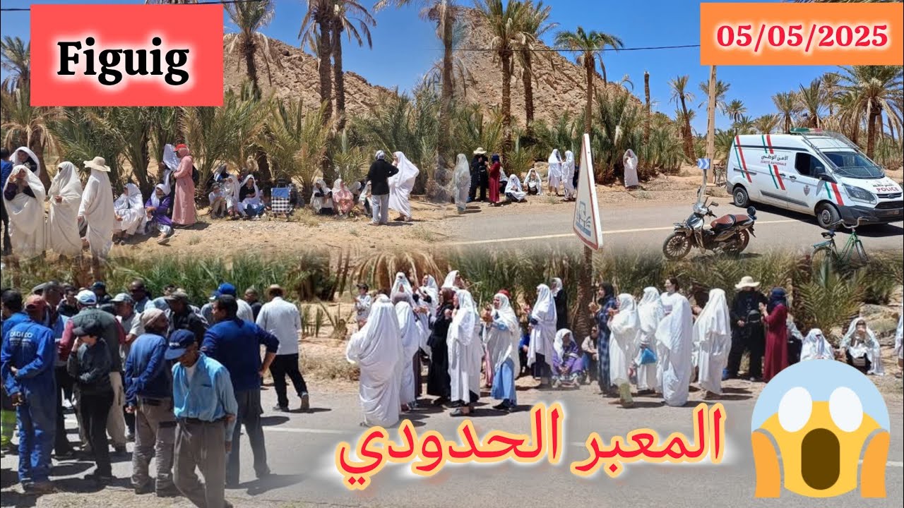 عاجل 