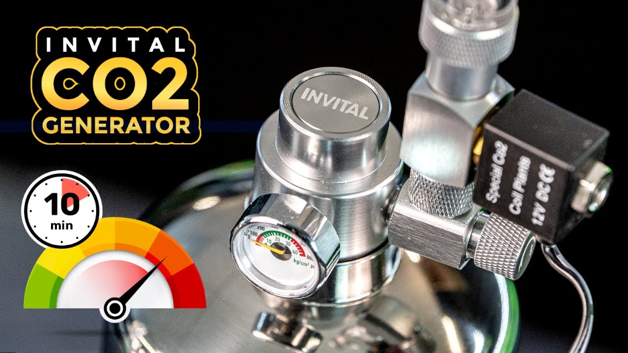 CO2 w akwarium w ciągu 10 minut - Generator CO2 INVITAL