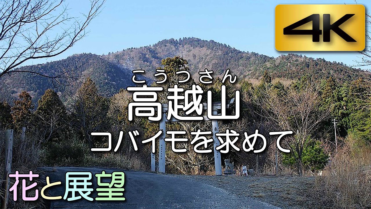 高越山（こうつさん）。四国で初めてコバイモが見つかった山。