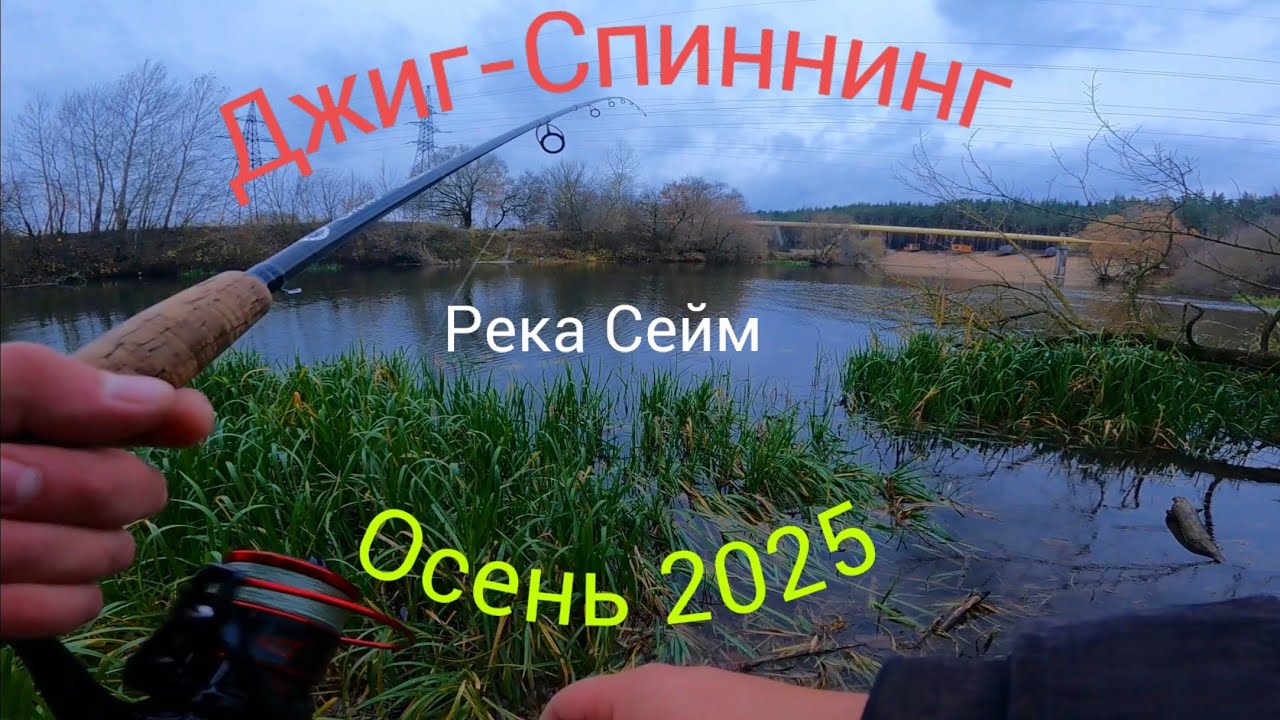 Рыбачу на спиннинг в пасмурный день.Река Сейм в черте города Курска.28 октября 2025